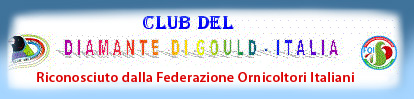 DE CLUB  ITALIË    